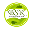 Logo Berkah Silindo Raya