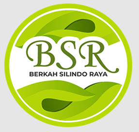 Logo lengkap Berkah Silindo Raya